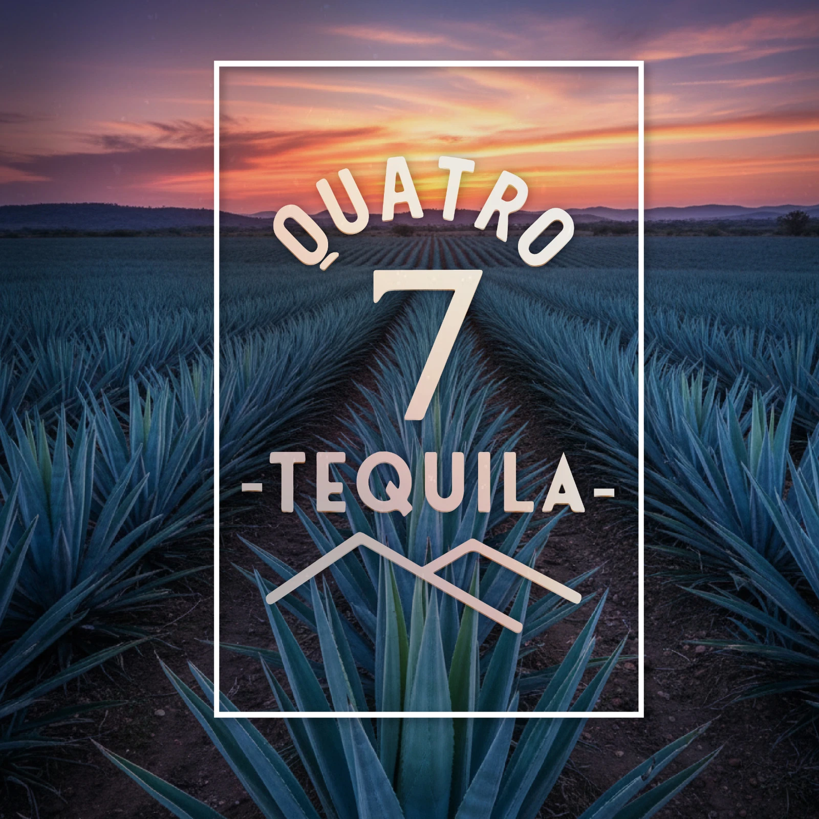 Colección Premium Quatro 7